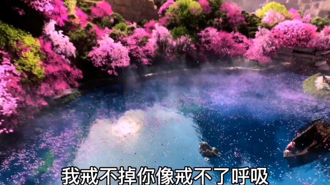 守卫木鱼